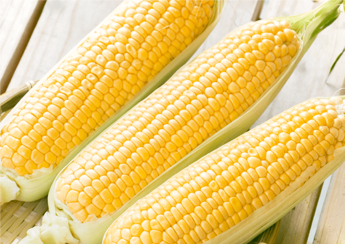 とうもろこし(ゴールドラッシュ)