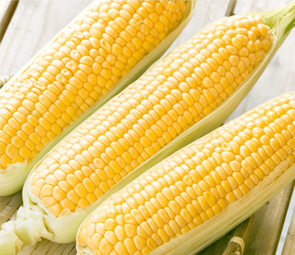 とうもろこし(ゴールドラッシュ)