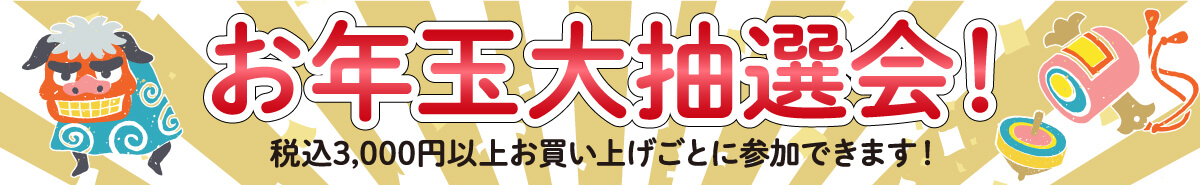 お正月お年玉大抽選会