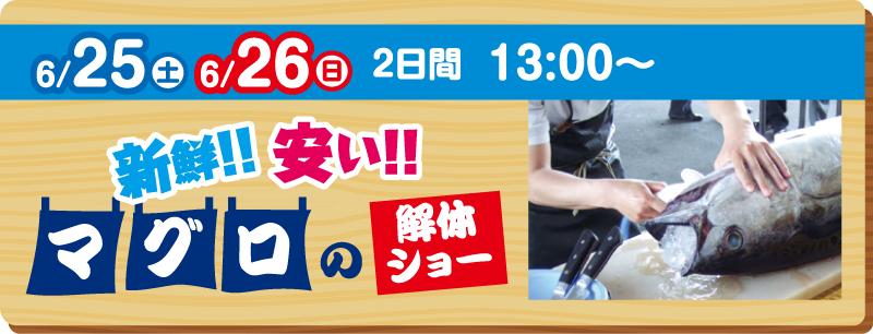 2022年6月25日・26日 13:00〜 魚甲子園 マグロの解体ショー