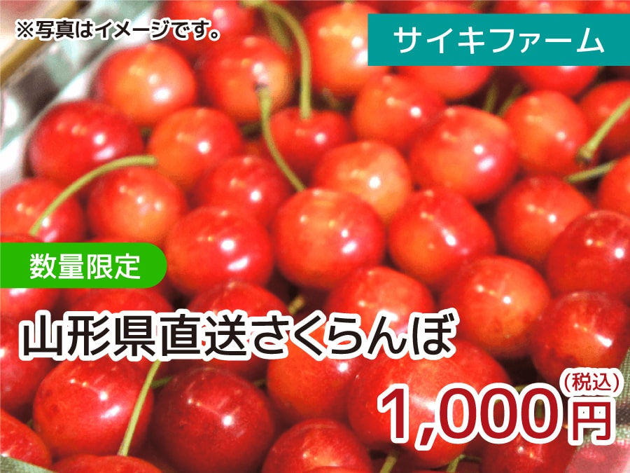 サイキファーム 数量限定 山形県直送さくらんぼ　1,000円（税込）