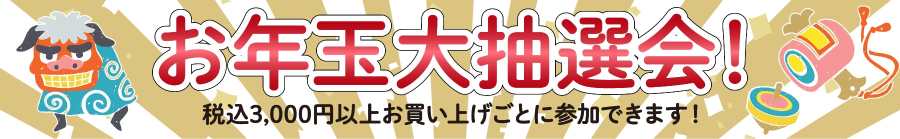 お正月お年玉大抽選会