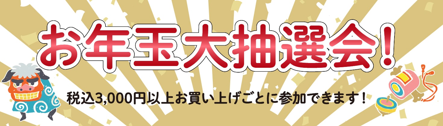 お正月お年玉大抽選会