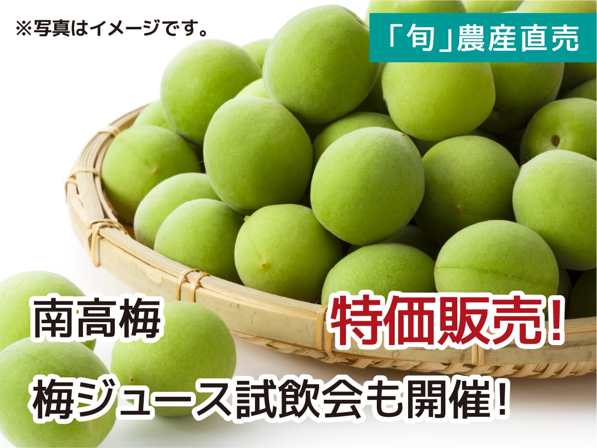 「旬」農産直売 南高梅 特価販売