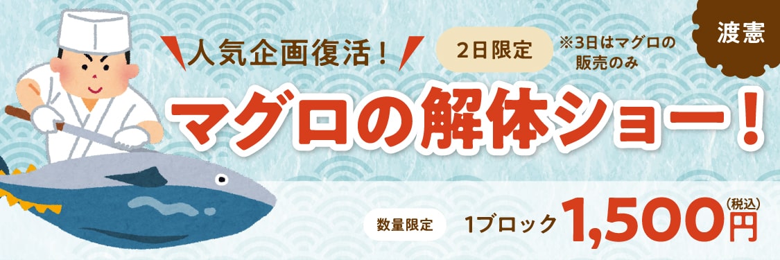 渡憲 マグロの解体ショー