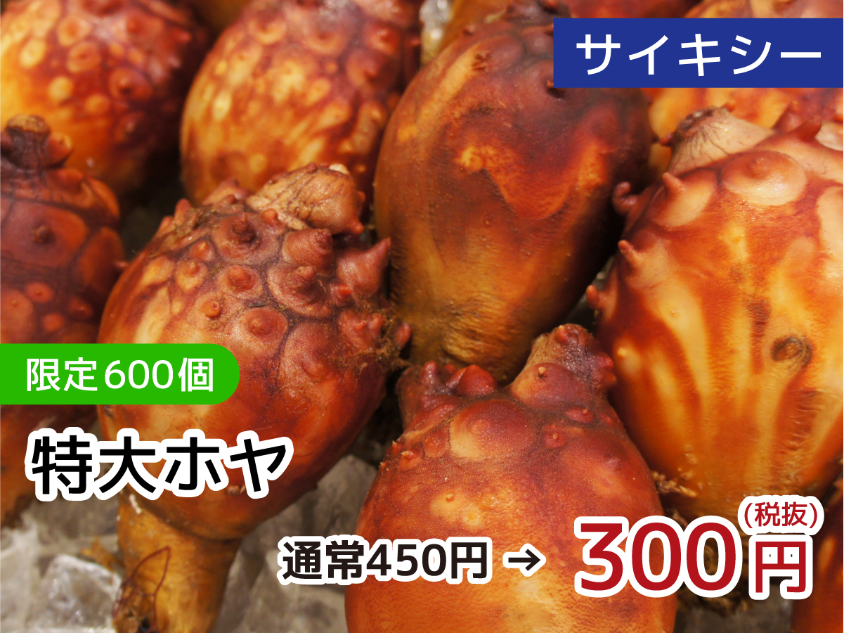 サイキシー 特大ほや