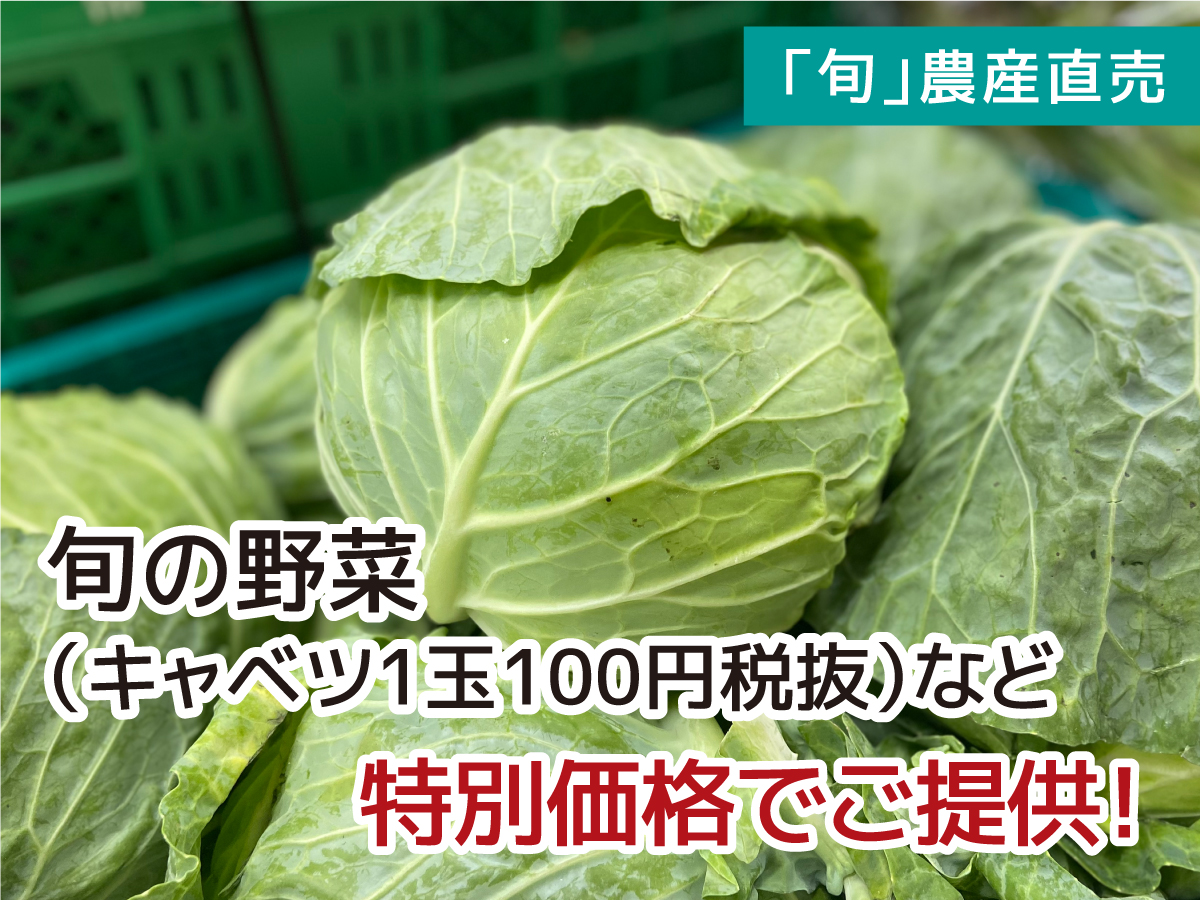 「旬」農産直売 キャベツ”1玉100円（税抜）