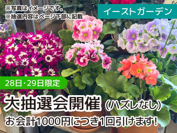 イーストガーデン