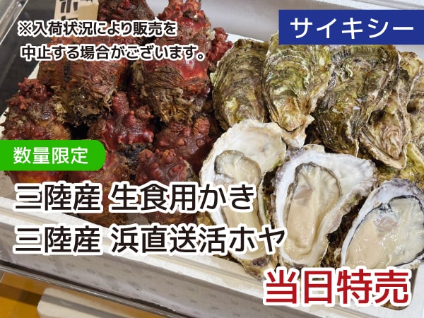 三陸産 生食用かき・浜直送活ホヤ