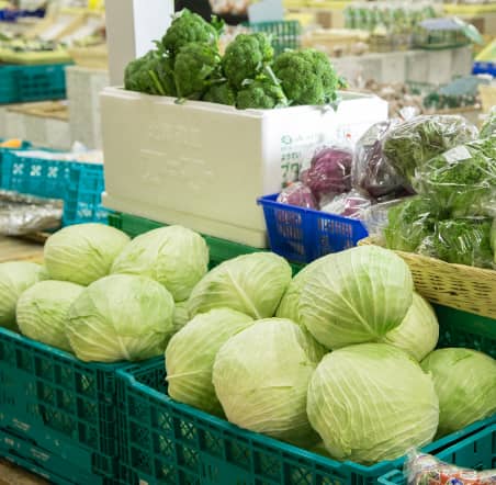 01 市場直送の新鮮な食材