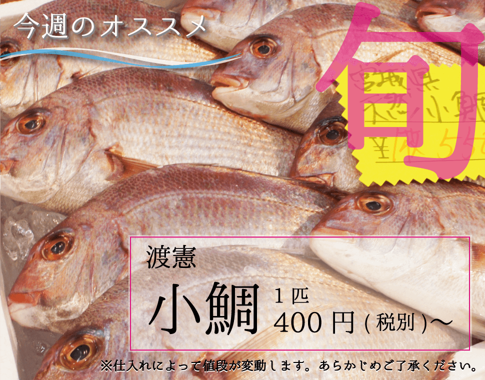 渡憲 小鯛 こだい 鯛 1匹400円(税別)〜