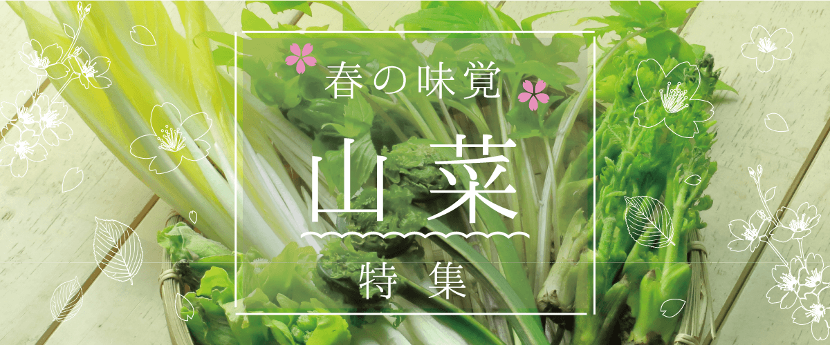 春の味覚 山菜特集