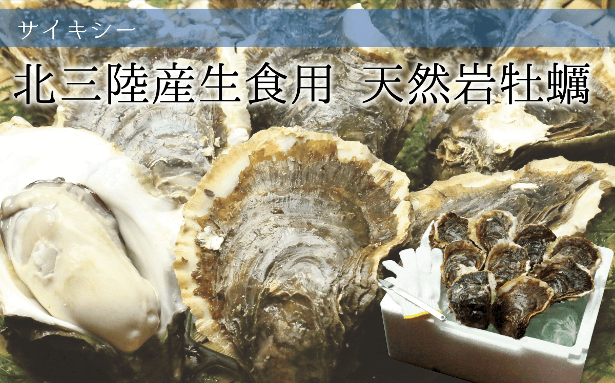 北三陸産特別養殖 天然岩牡蠣
