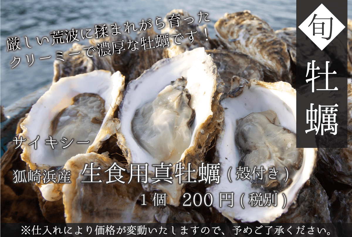 サイキシー 石巻狐崎浜産 生食用真牡蠣(殻付き)