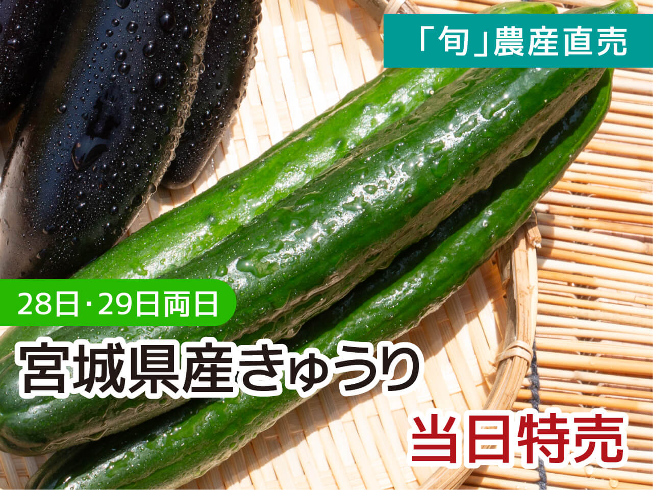 きゅうり