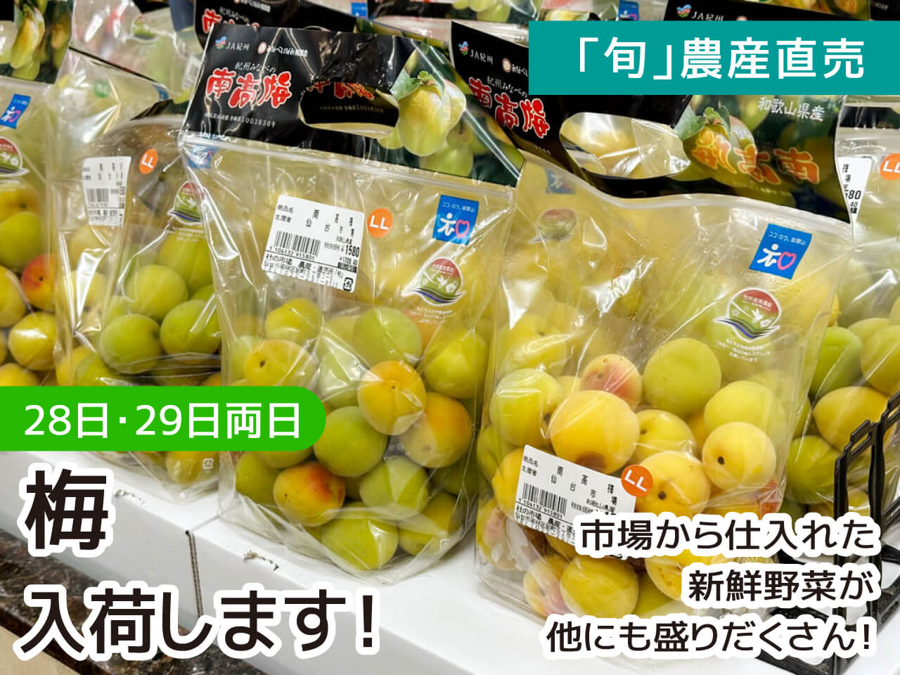 梅