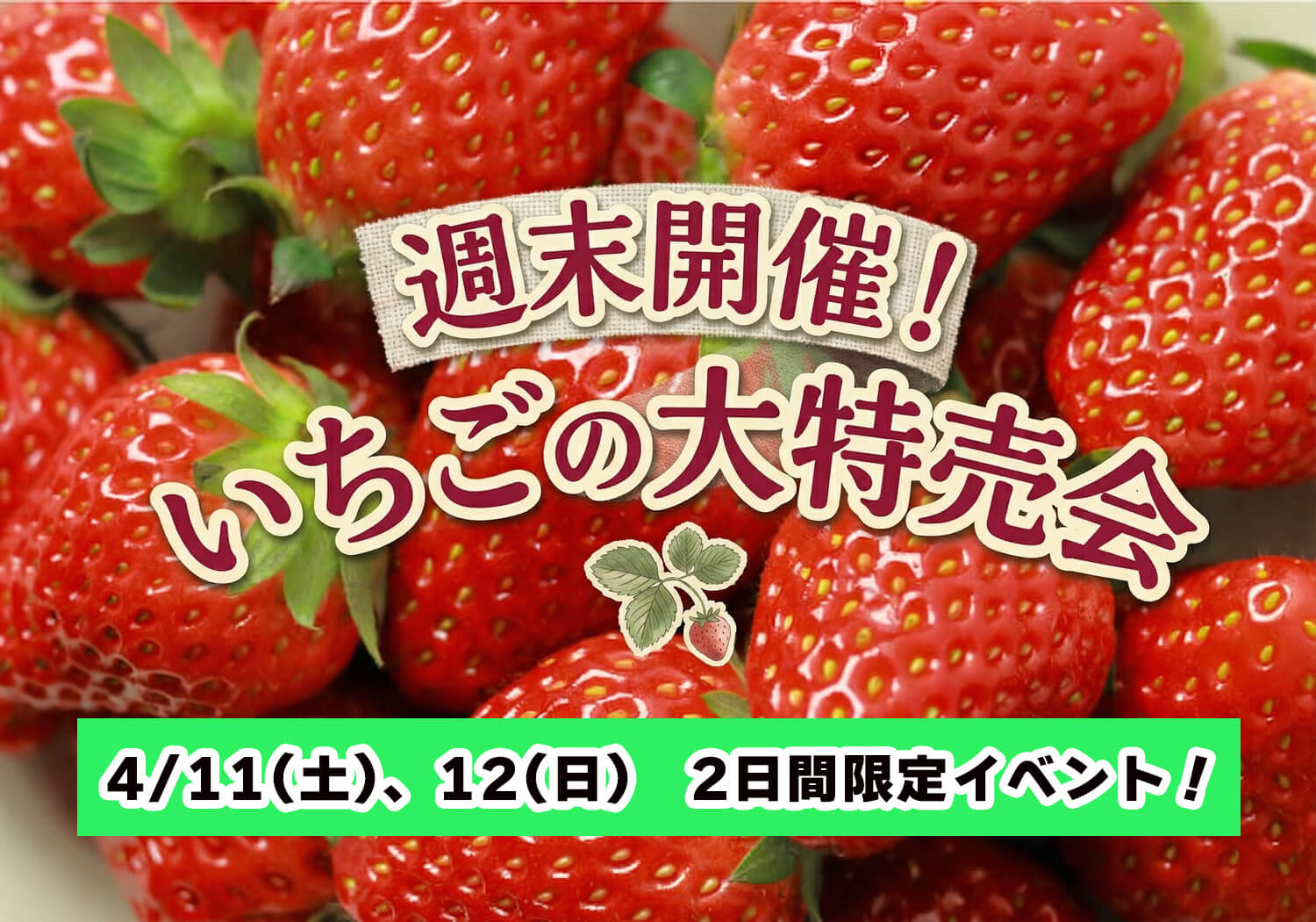 サイキファーム　イチゴ特売